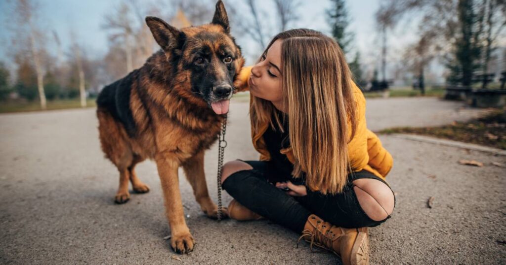 On the Trail with Furry Companions: Running Adventures with German Shepherds