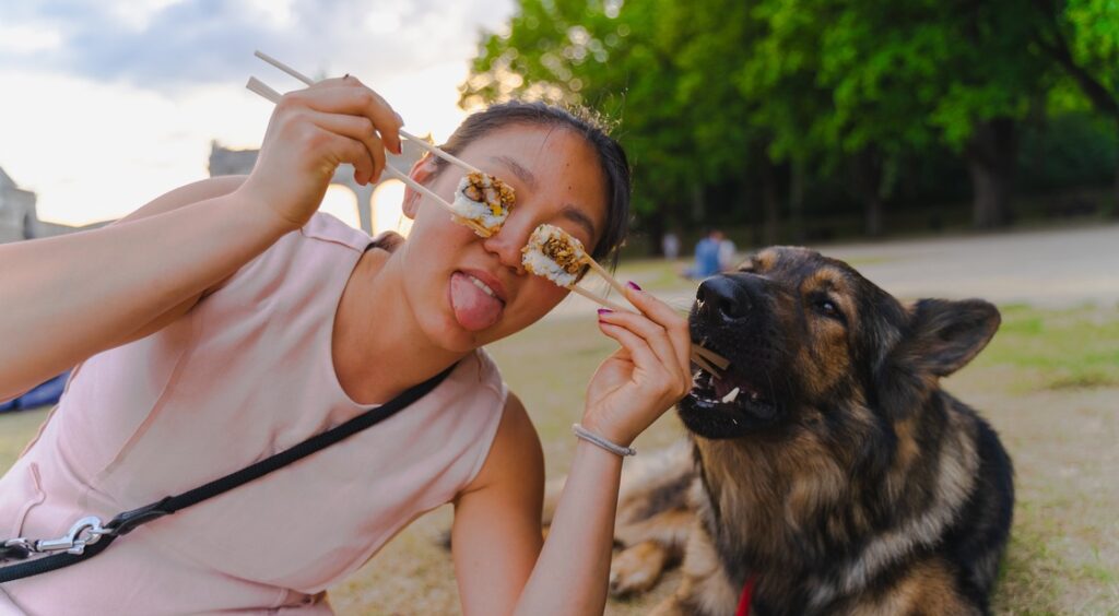 worst dog food for german shepherd